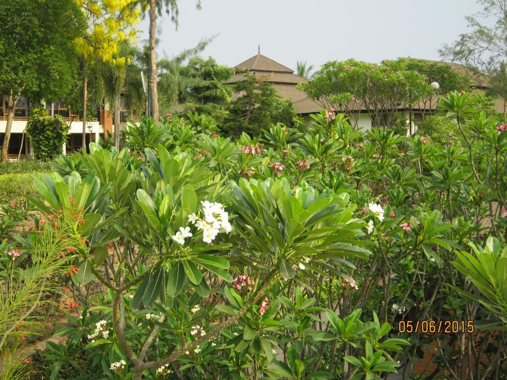 Aye Yar River View Resort Bagan Dış mekan fotoğraf